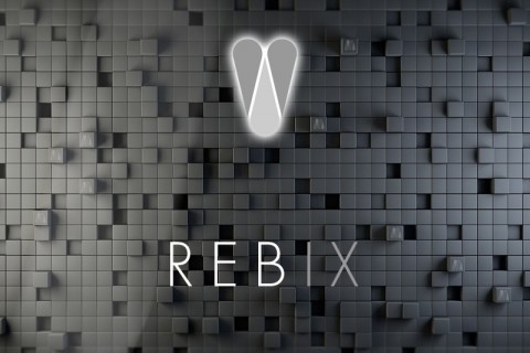 REBIX – A real estate Index